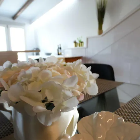 Feelcoimbra Mondego Views *