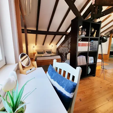 Feelcoimbra Mondego Views