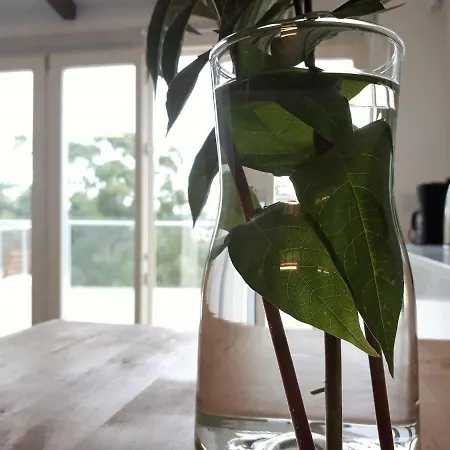 Feelcoimbra Mondego Views *