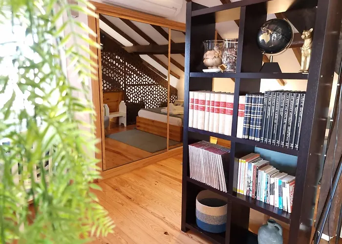 Feelcoimbra Mondego Views