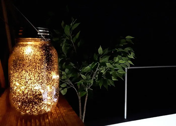 Feelcoimbra Mondego Views