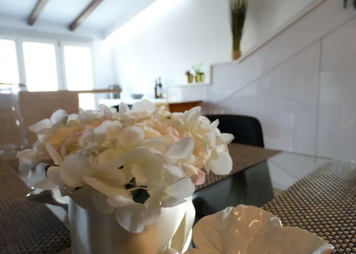 Feelcoimbra Mondego Views *