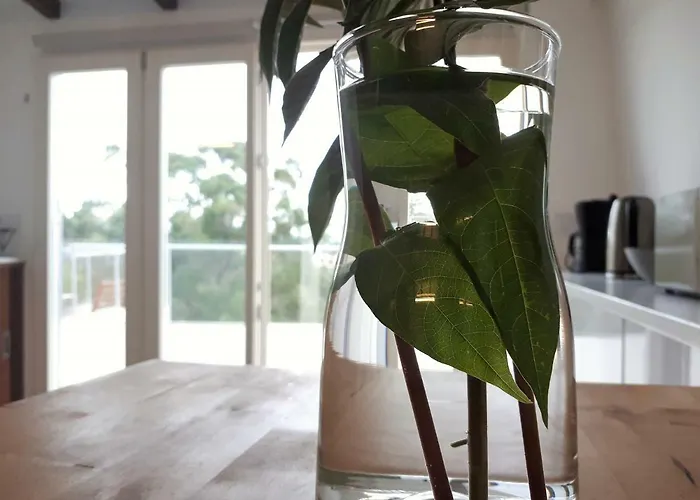 Feelcoimbra Mondego Views *